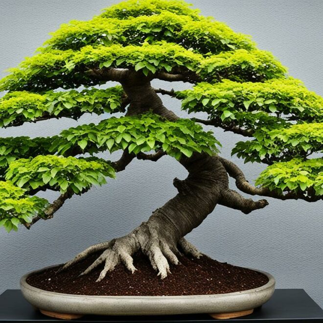 Bonsai Tree Species Profile: The Sturdy Hornbeam Beech